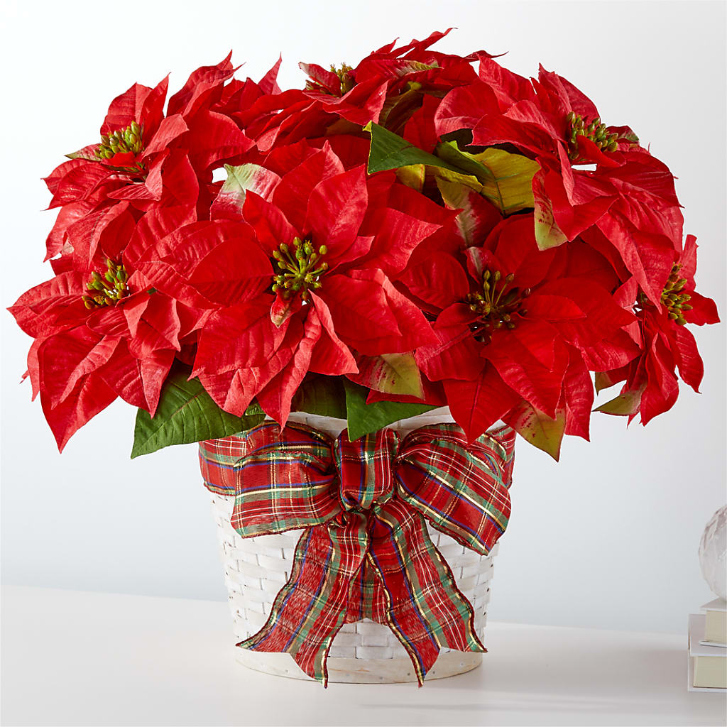 Happiest Holidays Poinsettia – HARRY'S FLOWERS, Victoria BC