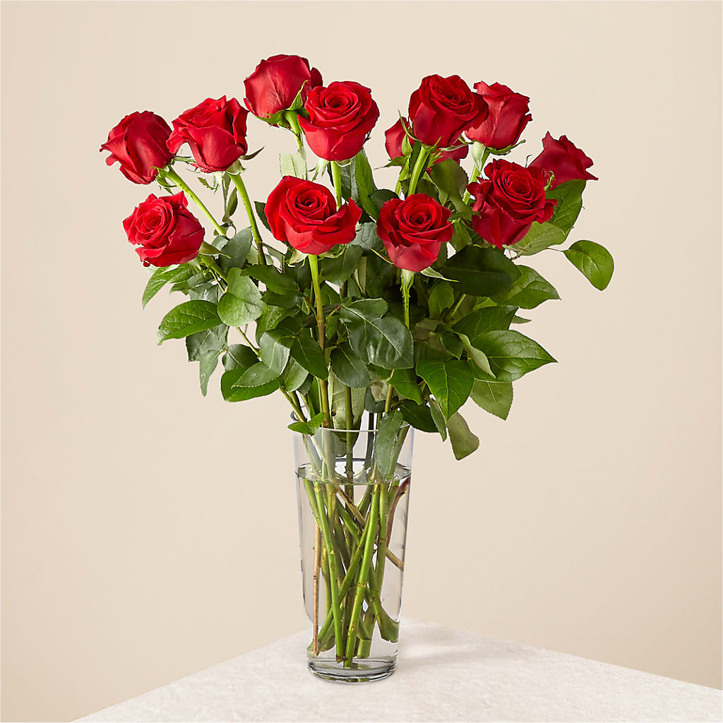 Long Stem Red Rose Bouquet – HARRY'S FLOWERS, Victoria BC