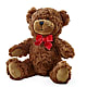 Adorable Plush Bear – HARRY'S FLOWERS, Victoria BC