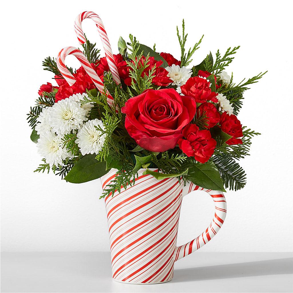 Peppermint Swirl Mug – HARRY'S FLOWERS, Victoria BC