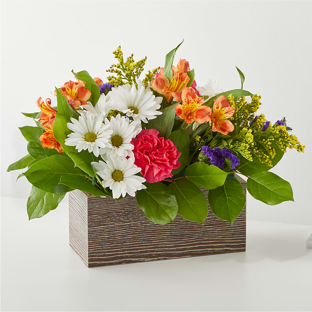 Oopsie Daisy Box Bouquet – HARRY'S FLOWERS, Victoria BC