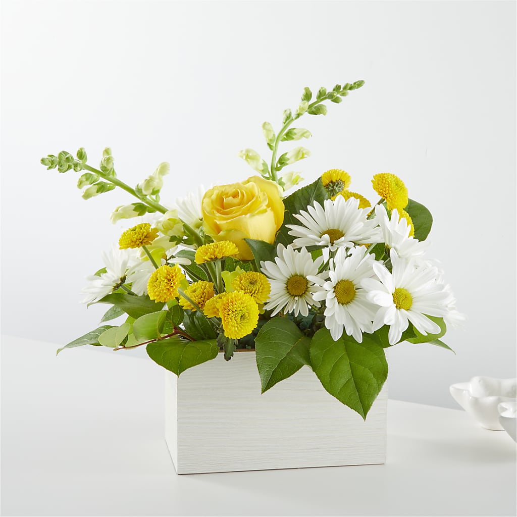 Sun Salutation Box Bouquet – HARRY'S FLOWERS, Victoria BC