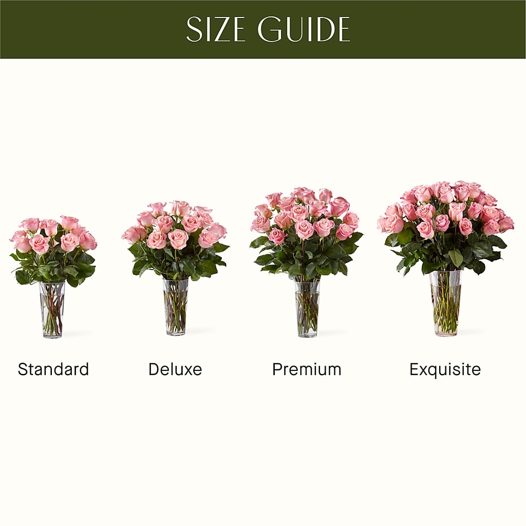 Long Stem Pink Rose Bouquet – HARRY'S FLOWERS, Victoria BC