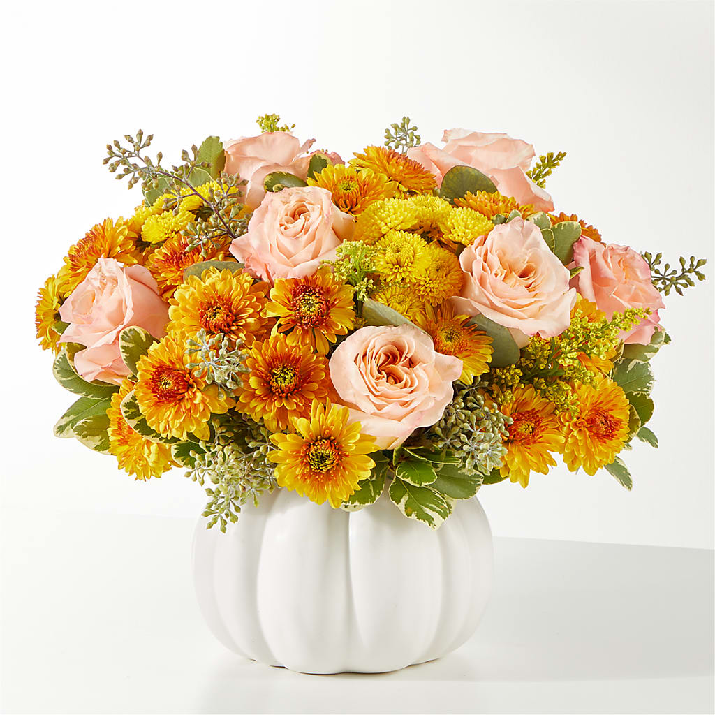 Peachy Pumpkin – HARRY'S FLOWERS, Victoria BC