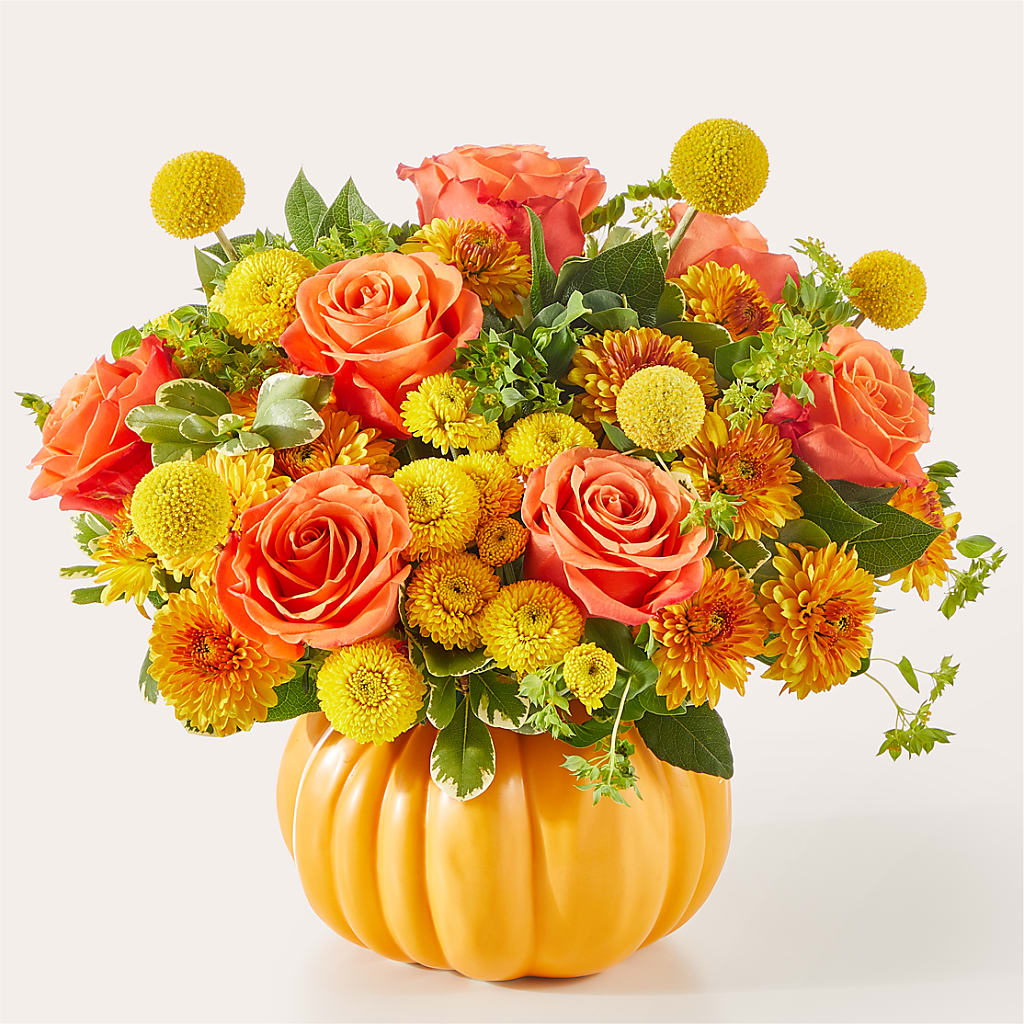 Gourdgeous Pumpkin – HARRY'S FLOWERS, Victoria BC