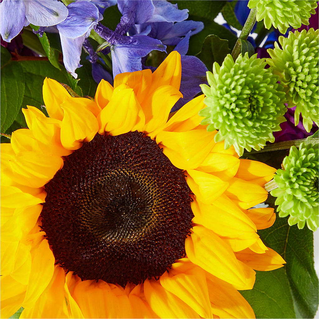 Catching Rays Bouquet – HARRY'S FLOWERS, Victoria BC