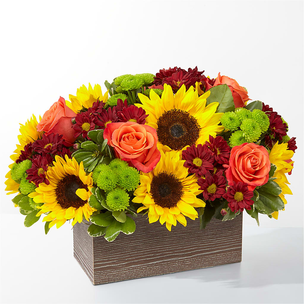 Happy Harvest Garden – HARRY'S FLOWERS, Victoria BC