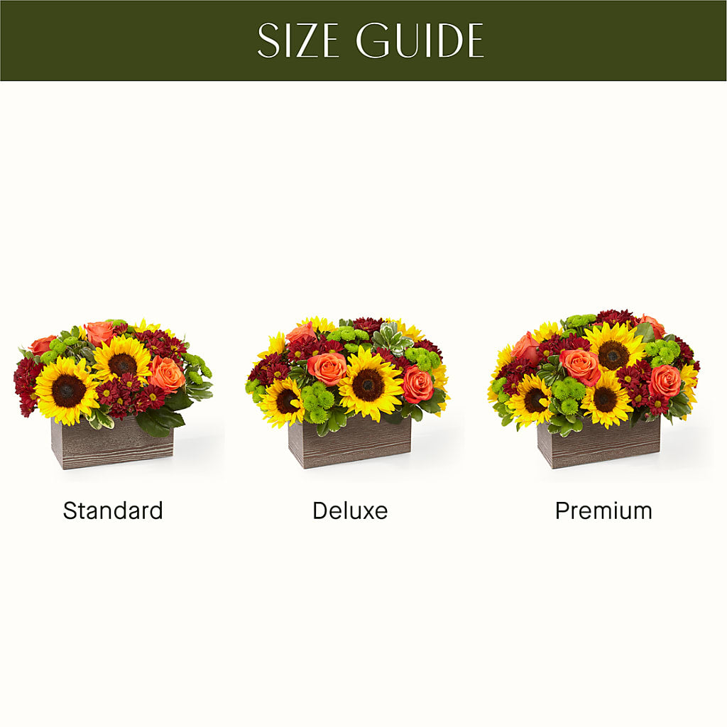Happy Harvest Garden – HARRY'S FLOWERS, Victoria BC