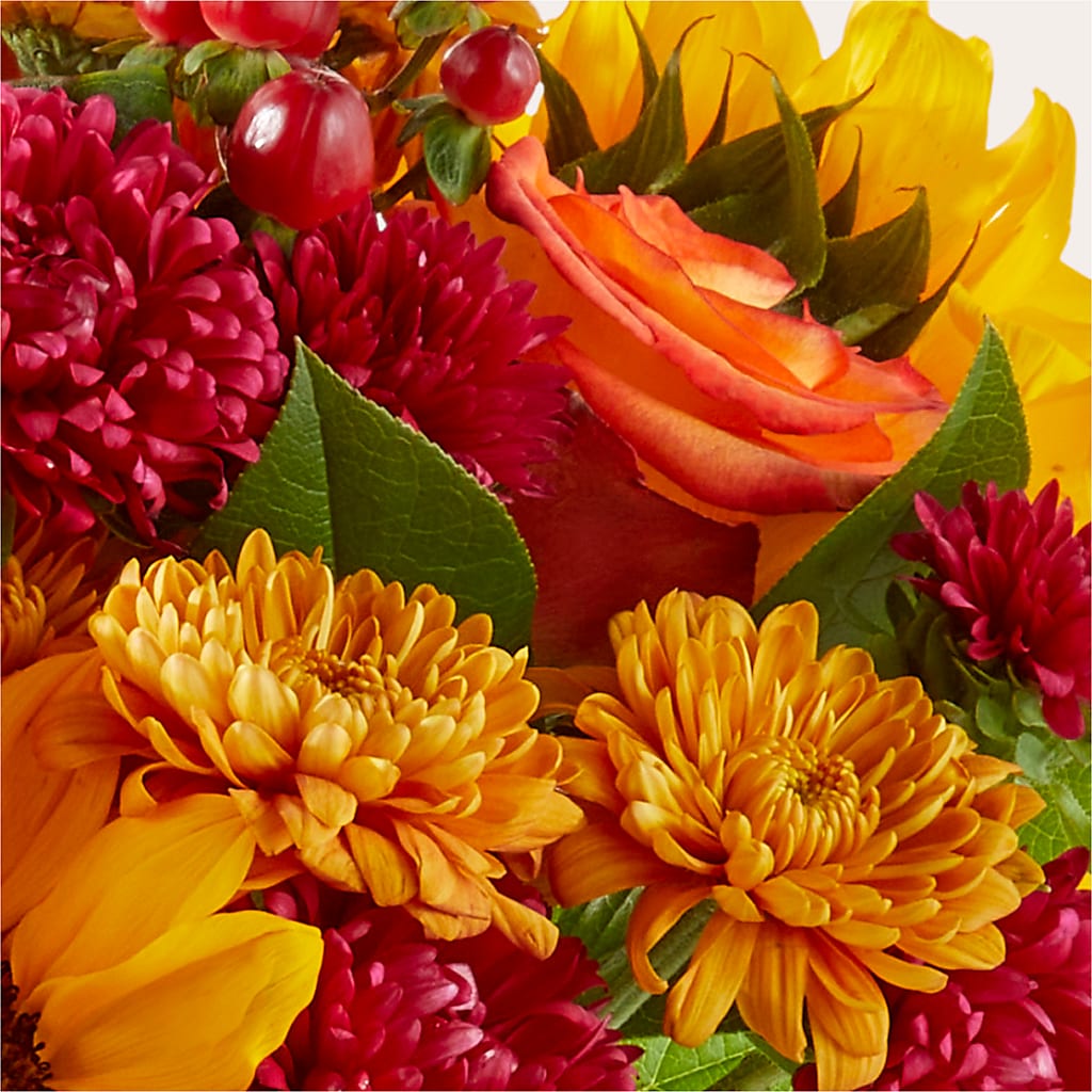 Sweater Season - A Florist Original – HARRY'S FLOWERS, Victoria BC