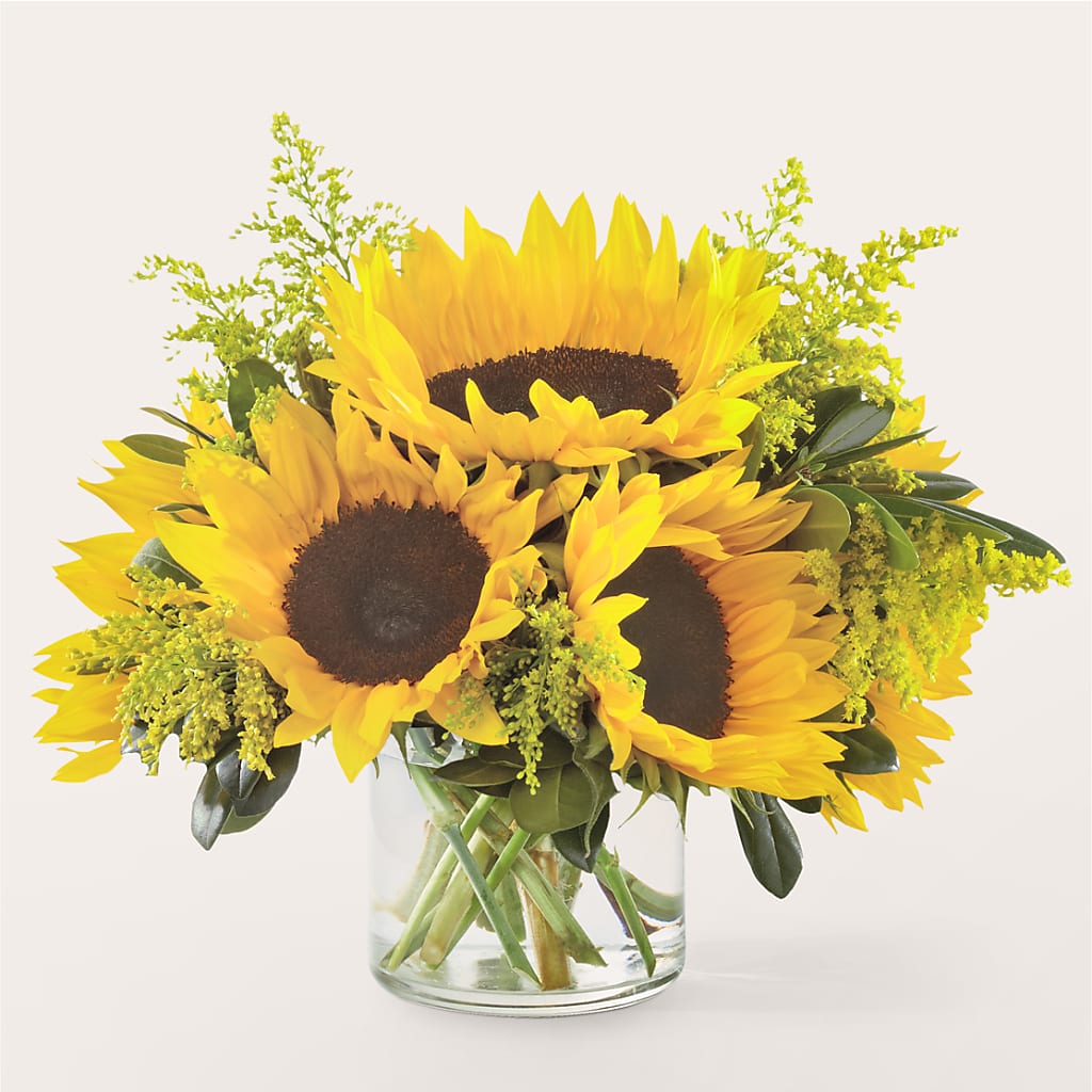 Beaming Sunflower Bouquet – HARRY'S FLOWERS, Victoria BC