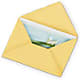 Greeting Card – HARRY'S FLOWERS, Victoria BC