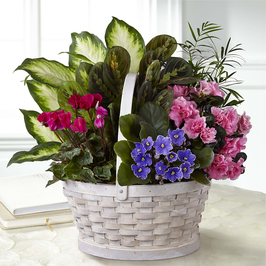 Peaceful Garden Planter – HARRY'S FLOWERS, Victoria BC