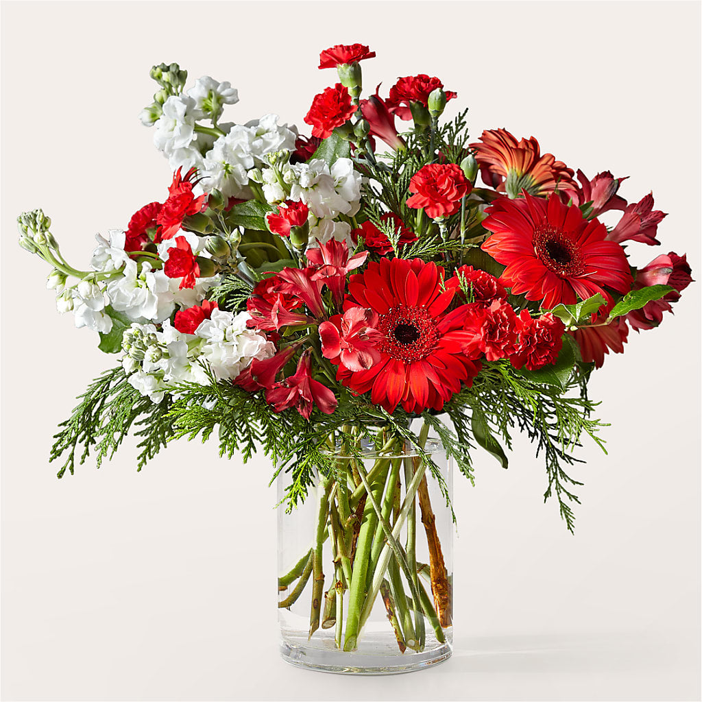 Holidaisy Bouquet – HARRY'S FLOWERS, Victoria BC