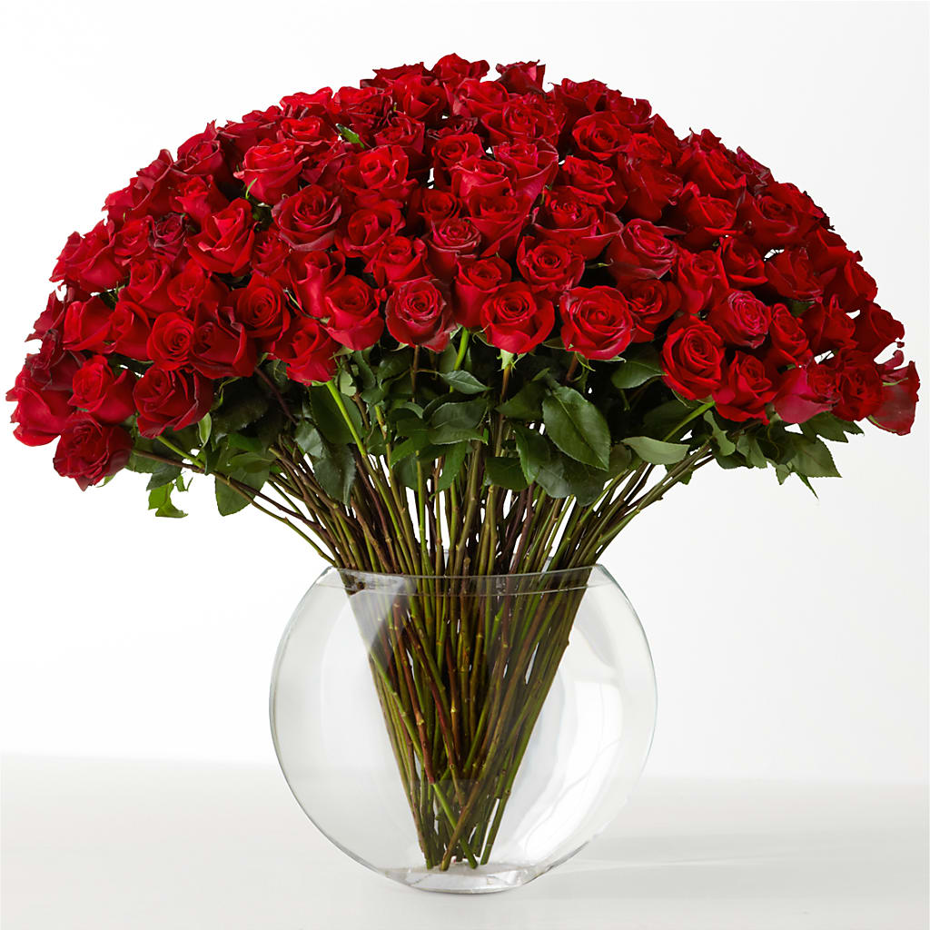 The Idealist – HARRY'S FLOWERS, Victoria BC