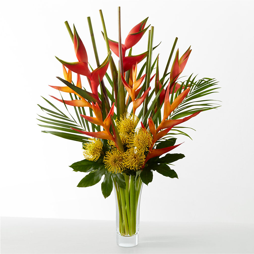 The Drama – HARRY'S FLOWERS, Victoria BC