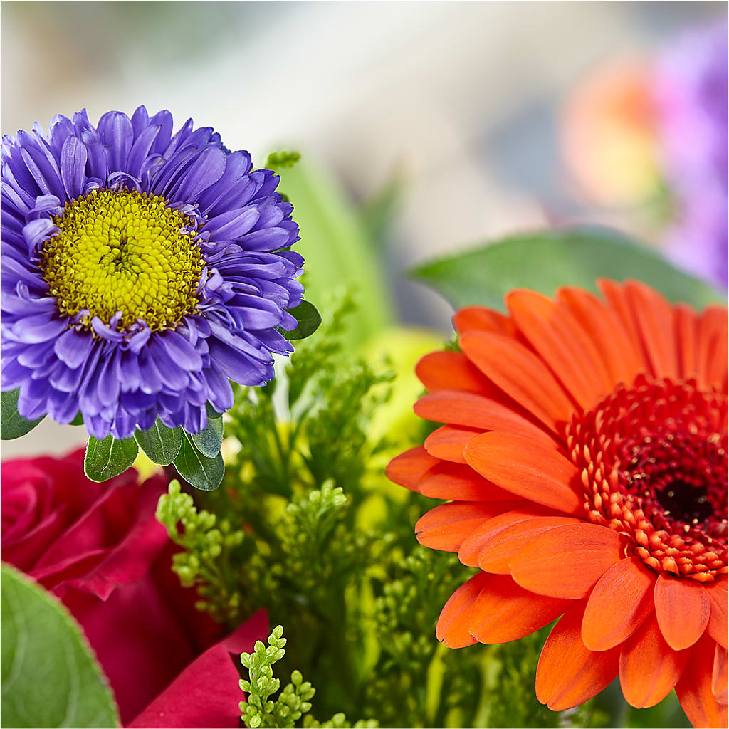 Bold & Bright – A Florist Original – HARRY'S FLOWERS, Victoria BC