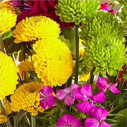 Bold & Bright – A Florist Original – HARRY'S FLOWERS, Victoria BC