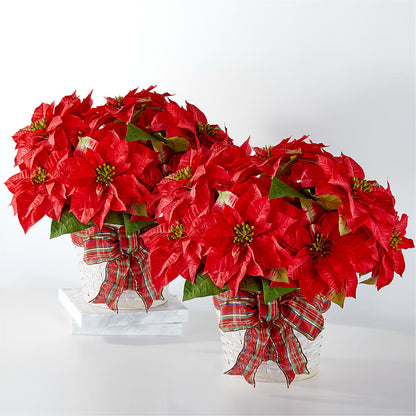 Happiest Holidays Poinsettia Bundle – HARRY'S FLOWERS, Victoria BC
