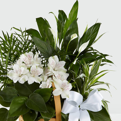 Peace & Serenity Dishgarden – HARRY'S FLOWERS, Victoria BC