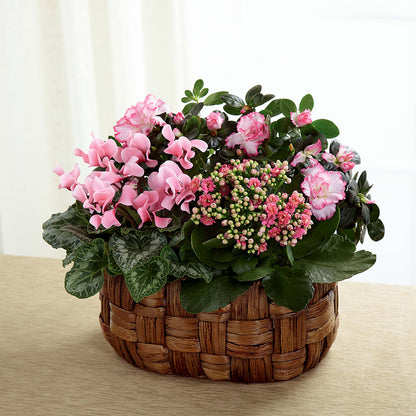 Pink Assortment – HARRY'S FLOWERS, Victoria BC