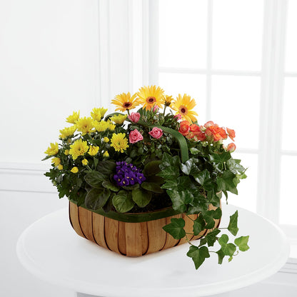 Gentle Blossoms Basket – HARRY'S FLOWERS, Victoria BC