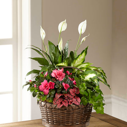 Dream in Pink Dishgarden – HARRY'S FLOWERS, Victoria BC