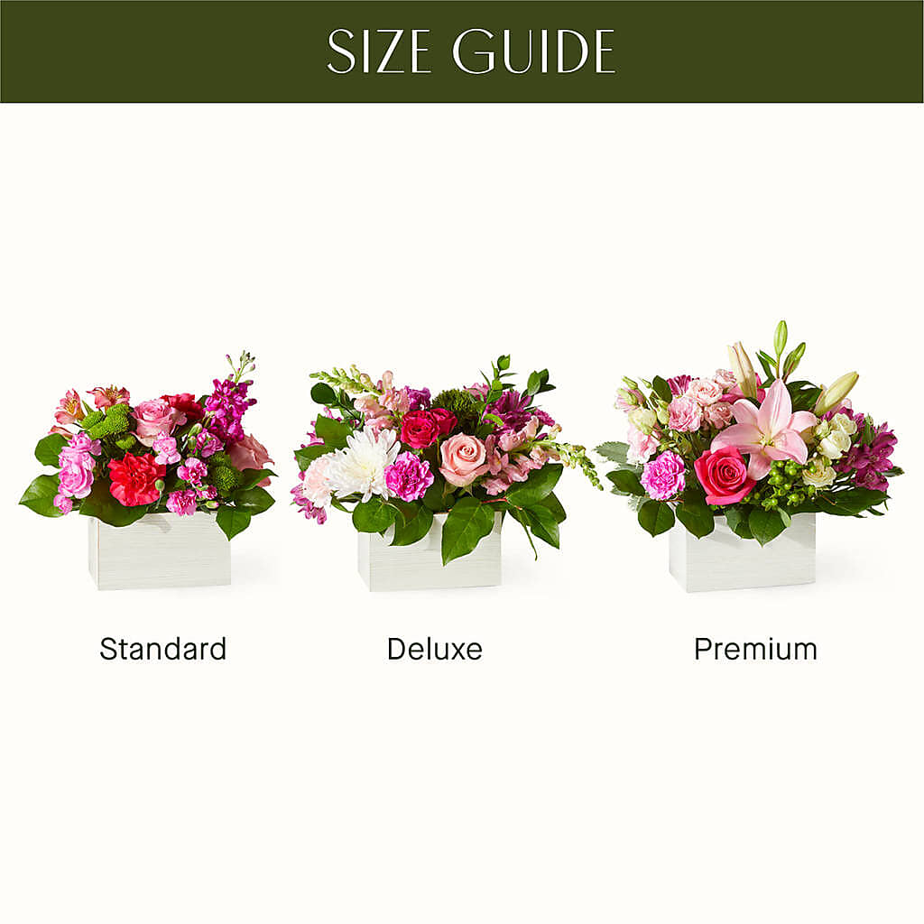 Sweetberry Box – A Florist Original – HARRY'S FLOWERS, Victoria BC