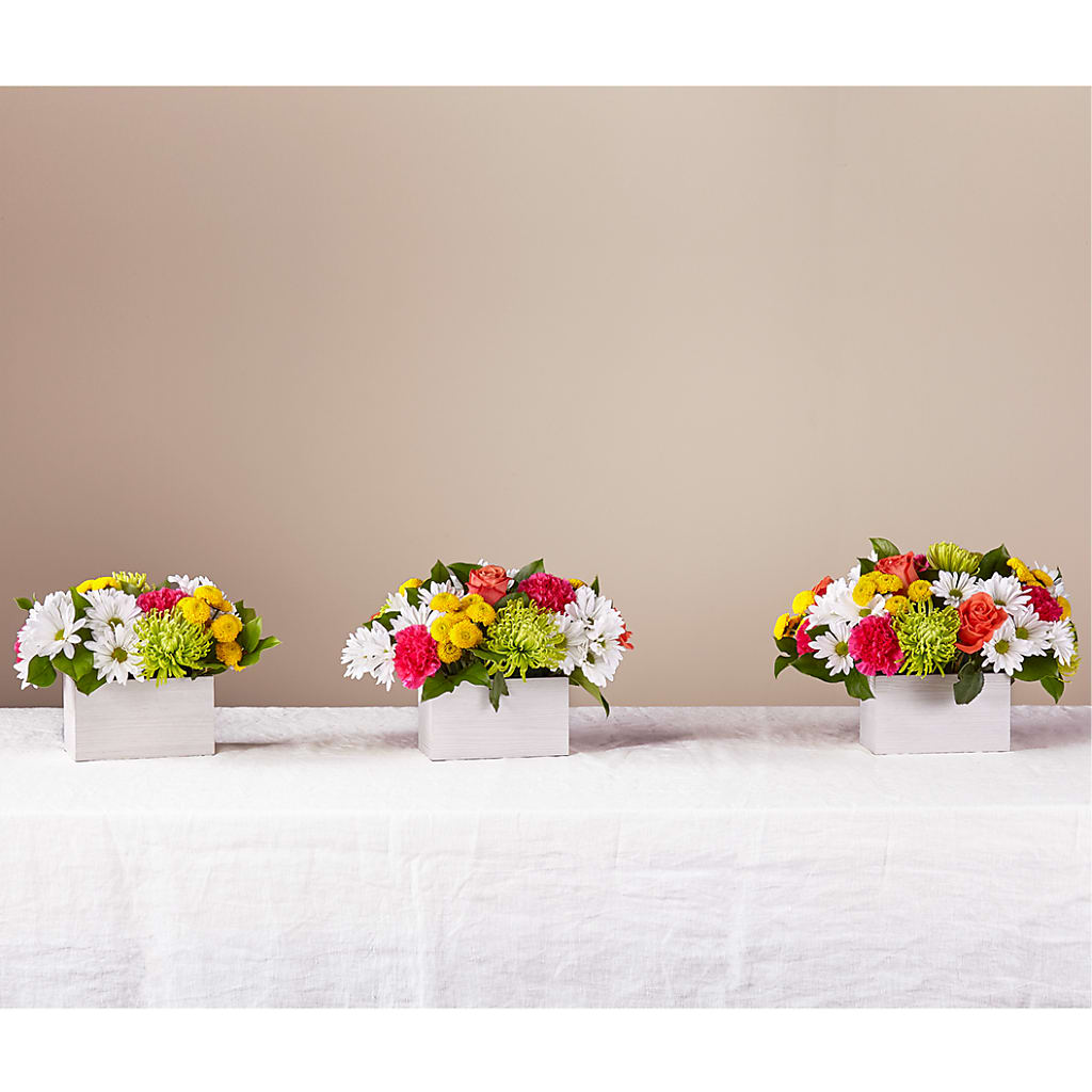 Sorbet Bouquet – HARRY'S FLOWERS, Victoria BC