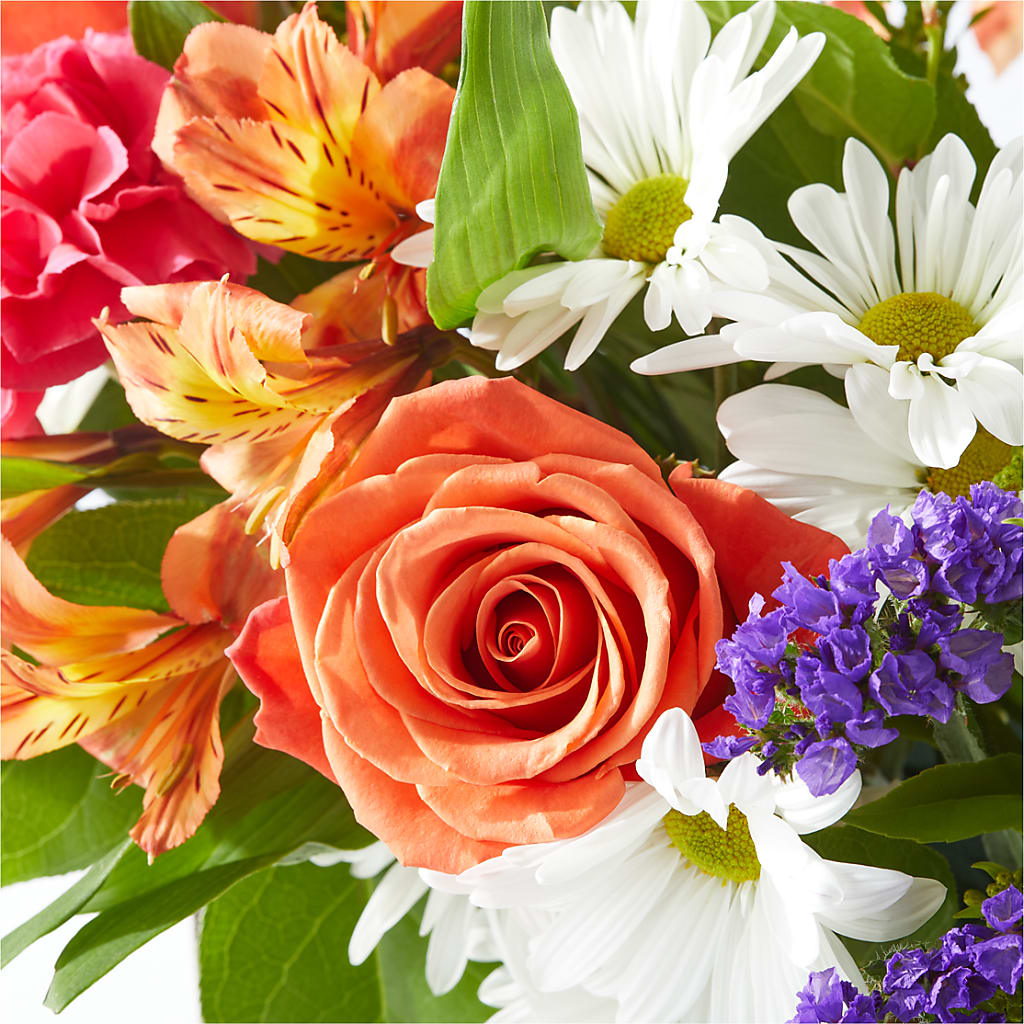 Oopsie Daisy Box Bouquet – HARRY'S FLOWERS, Victoria BC