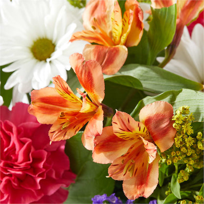 Oopsie Daisy Box Bouquet – HARRY'S FLOWERS, Victoria BC