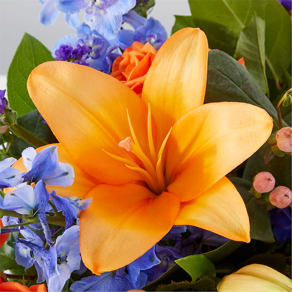Radiant Citrus Box Bouquet – HARRY'S FLOWERS, Victoria BC