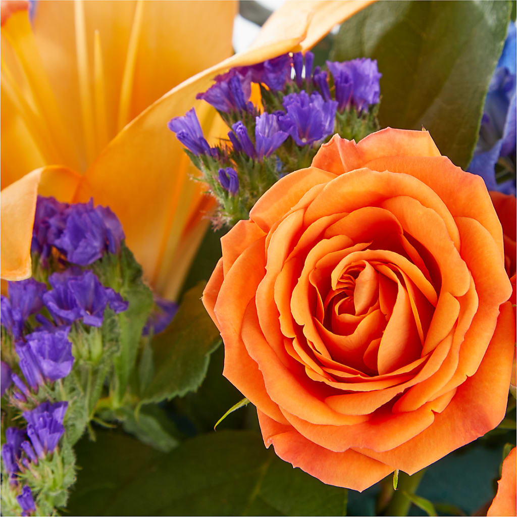 Radiant Citrus Box Bouquet – HARRY'S FLOWERS, Victoria BC