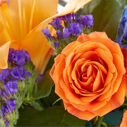 Radiant Citrus Box Bouquet – HARRY'S FLOWERS, Victoria BC