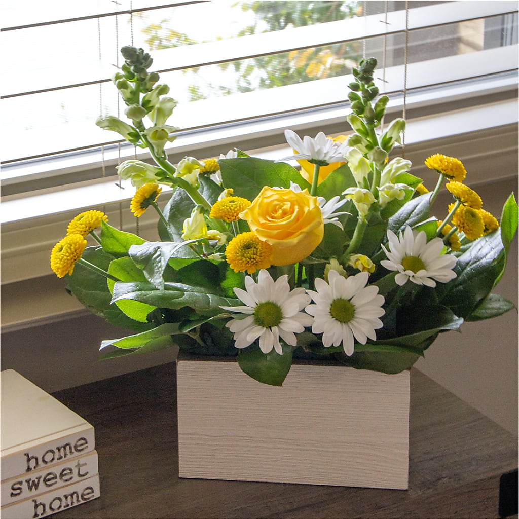 Sun Salutation Box Bouquet – HARRY'S FLOWERS, Victoria BC