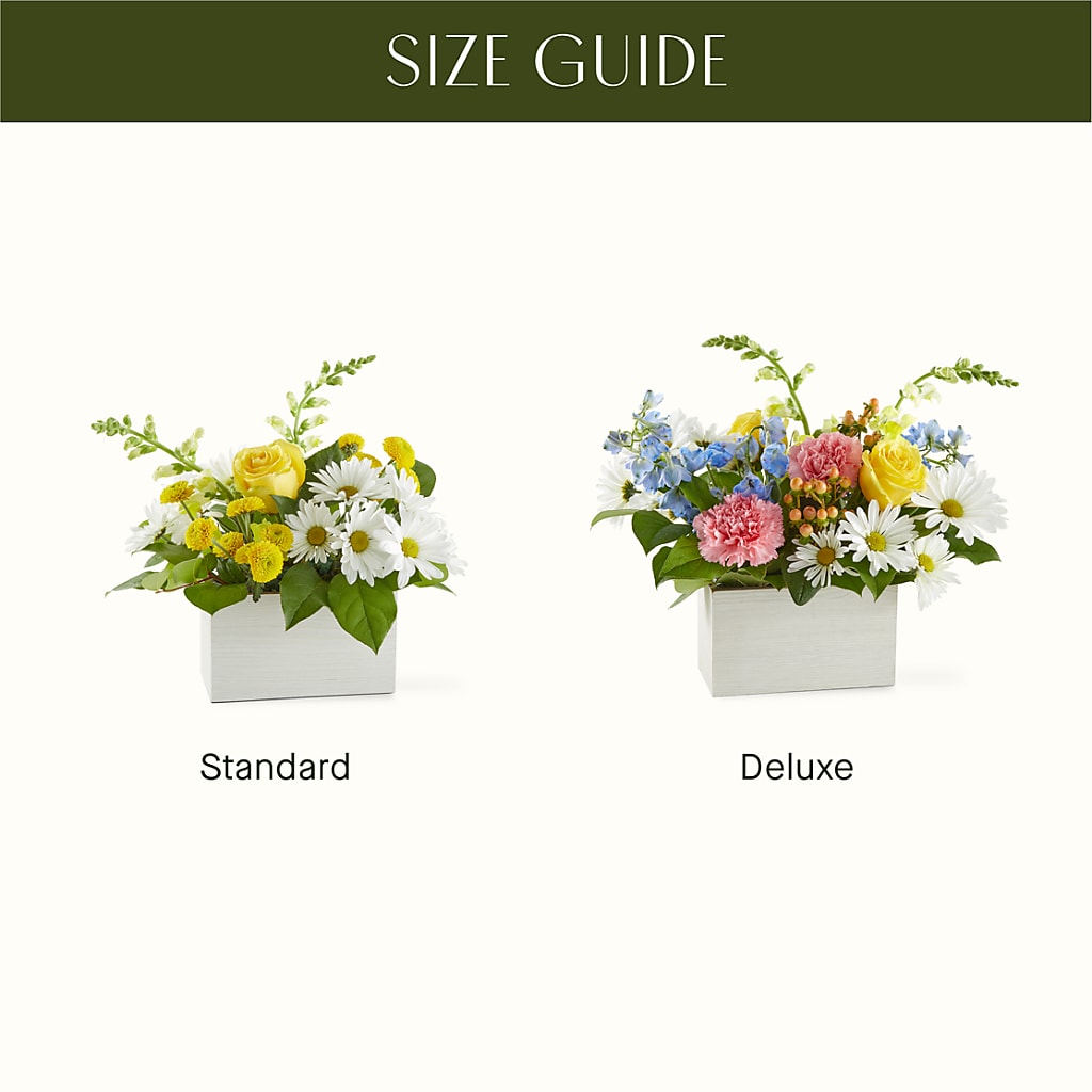 Sun Salutation Box Bouquet – HARRY'S FLOWERS, Victoria BC