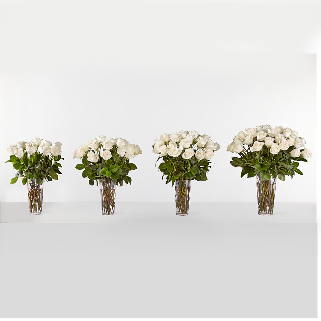 Long Stem White Rose Bouquet – HARRY'S FLOWERS, Victoria BC