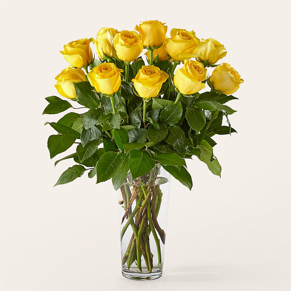 Long Stem Yellow Rose Bouquet – HARRY'S FLOWERS, Victoria BC