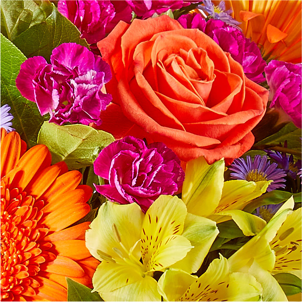 Tricks & Treats Pumpkin – HARRY'S FLOWERS, Victoria BC