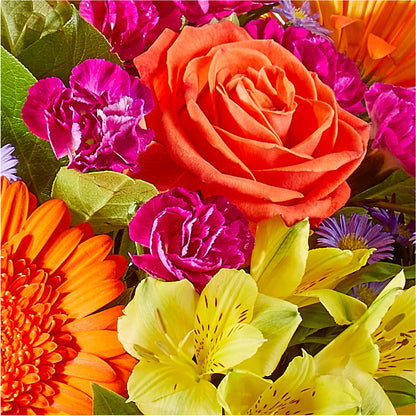 Tricks & Treats Pumpkin – HARRY'S FLOWERS, Victoria BC