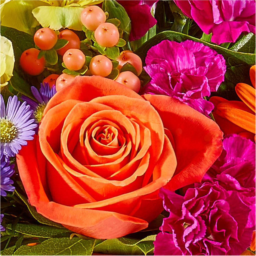 Tricks & Treats Pumpkin – HARRY'S FLOWERS, Victoria BC