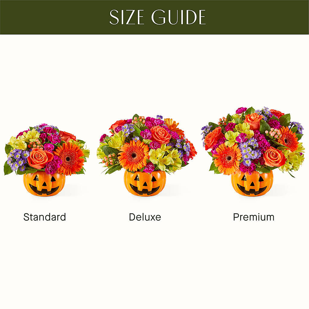 Tricks & Treats Pumpkin – HARRY'S FLOWERS, Victoria BC