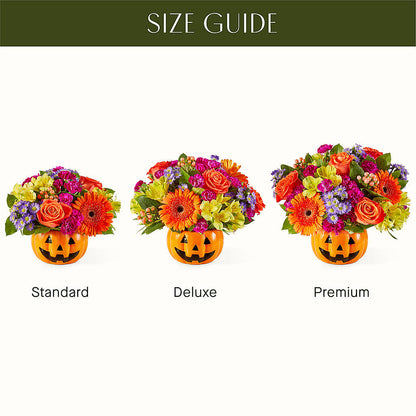 Tricks & Treats Pumpkin – HARRY'S FLOWERS, Victoria BC