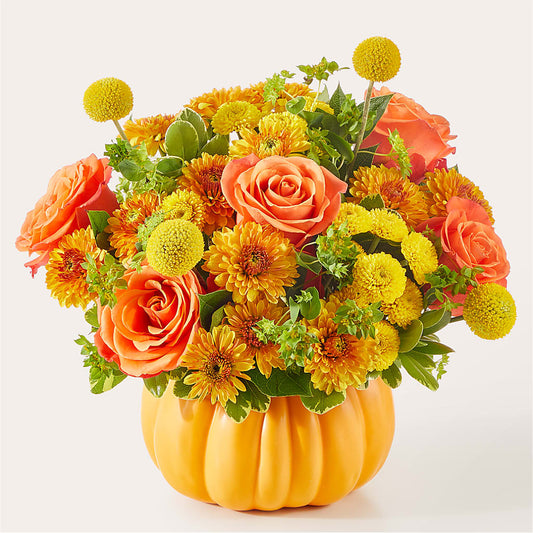Gourdgeous Pumpkin – HARRY'S FLOWERS, Victoria BC