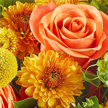 Gourdgeous Pumpkin – HARRY'S FLOWERS, Victoria BC