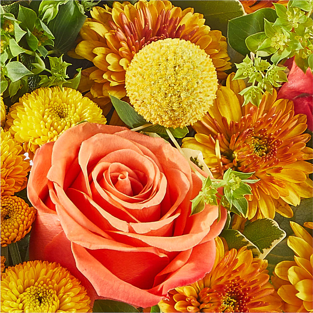 Gourdgeous Pumpkin – HARRY'S FLOWERS, Victoria BC