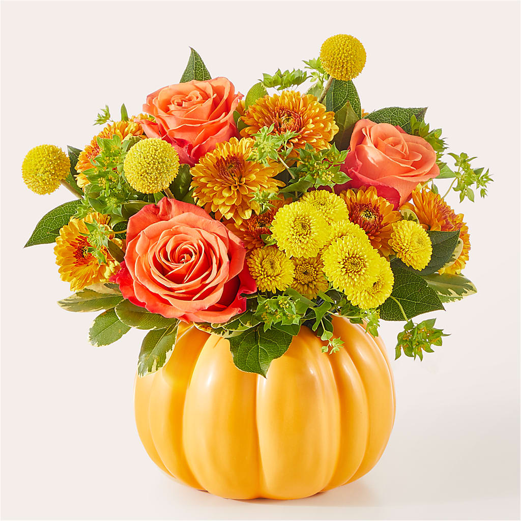 Gourdgeous Pumpkin – HARRY'S FLOWERS, Victoria BC