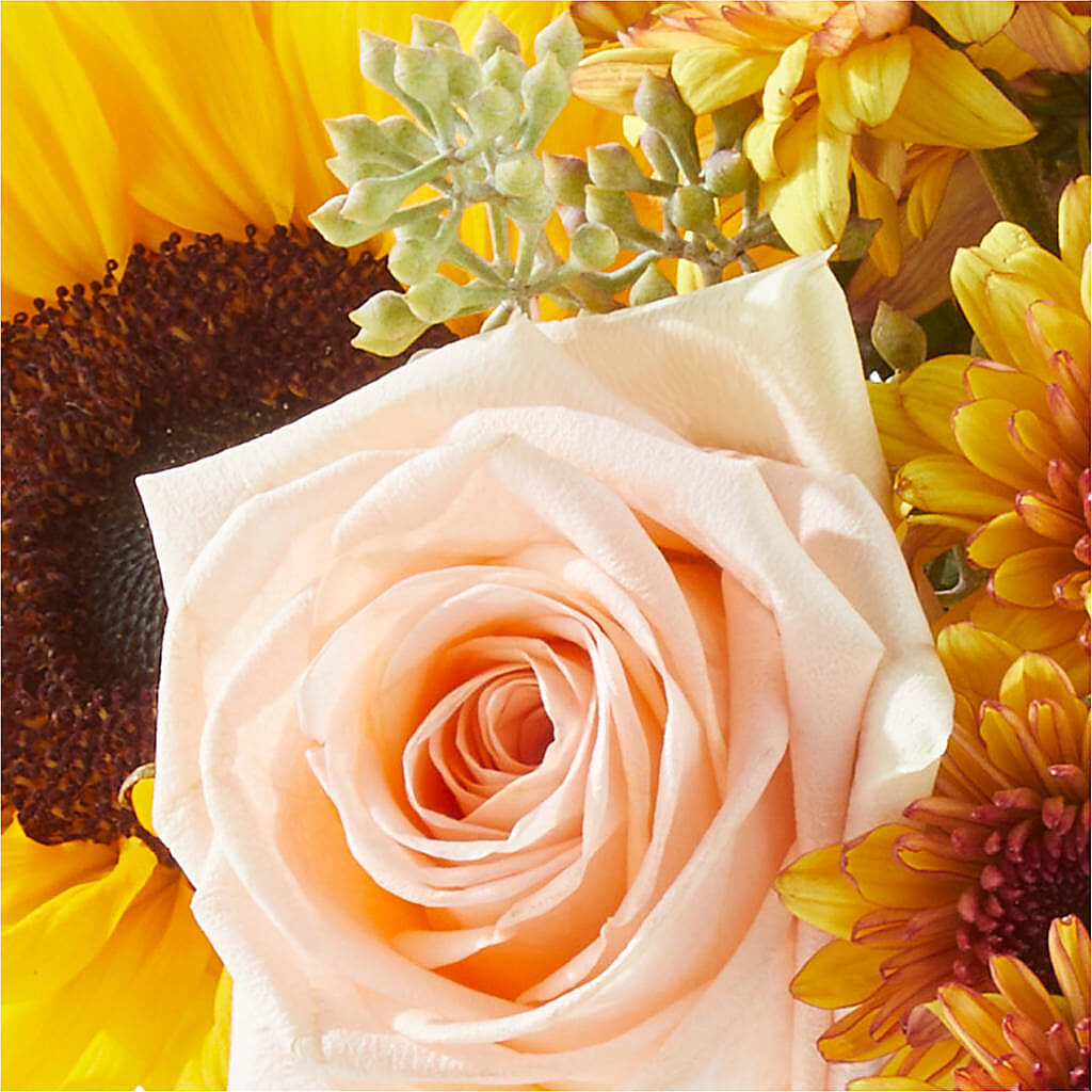 Pumpkin to Talk About Bouquet – HARRY'S FLOWERS, Victoria BC