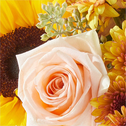 Pumpkin to Talk About Bouquet – HARRY'S FLOWERS, Victoria BC