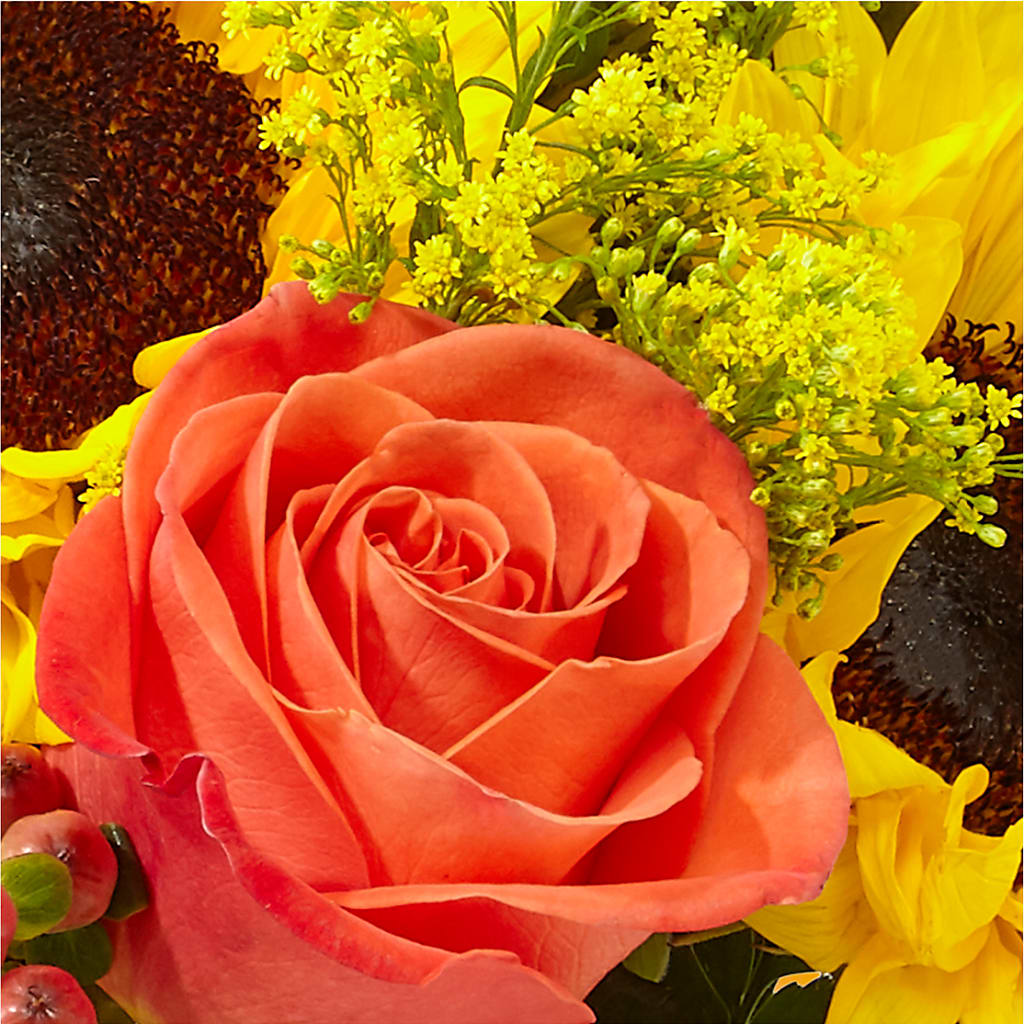 Pick of the Patch Pumpkin Bouquet – HARRY'S FLOWERS, Victoria BC