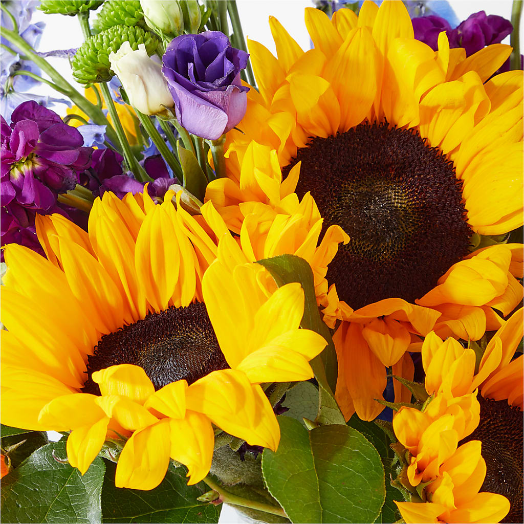 Catching Rays Bouquet – HARRY'S FLOWERS, Victoria BC
